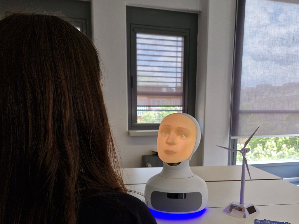 "Betti in Bretten" – A Social Robot Field Study at the Municipal Utilities Bretten